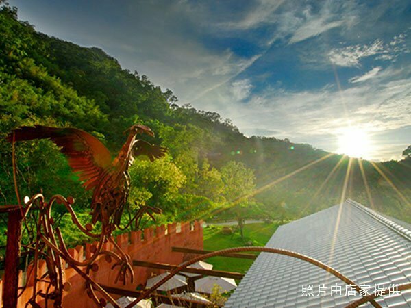 petsyoyo寵遊網－漫步雲端森林廚房