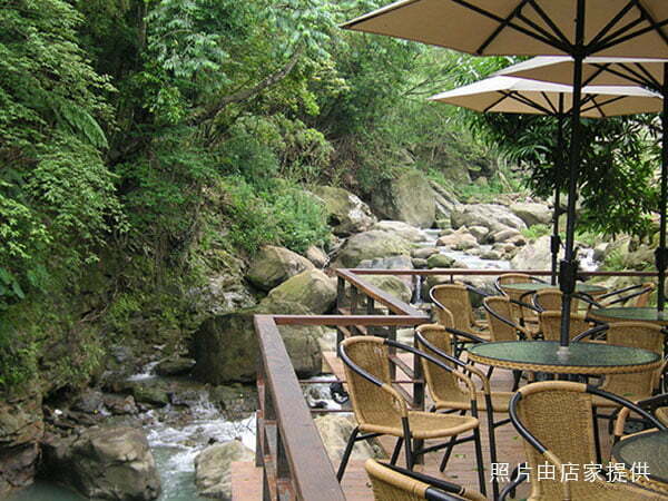 petsyoyo寵遊網－漫步雲端森林廚房