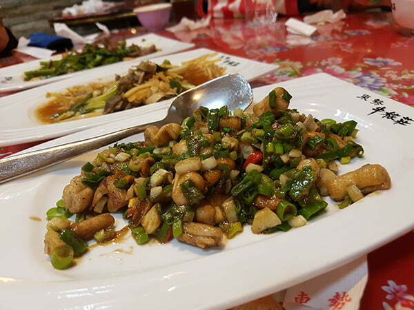 petsyoyo寵遊網-東勢牛榢莊