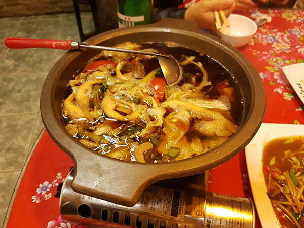 petsyoyo寵遊網-東勢牛榢莊