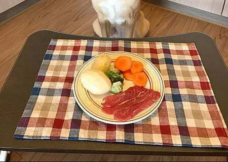 寵物食譜-烤牛肉野菜洋芋_米克斯菲菲的走跳日記提供