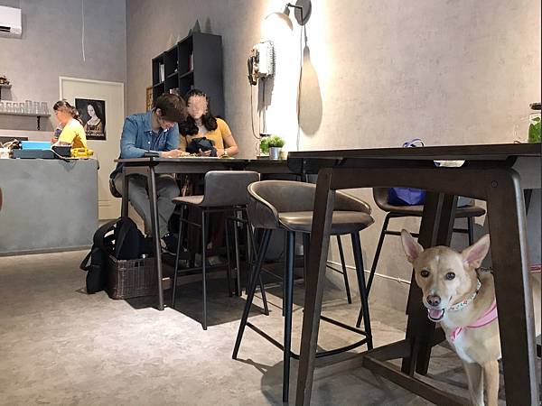 台中西區寵物友善餐廳-PeckoPecko_米克斯菲菲的走跳日記提供