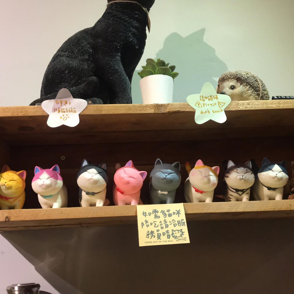 台北信義寵物友善餐廳-11 cafe