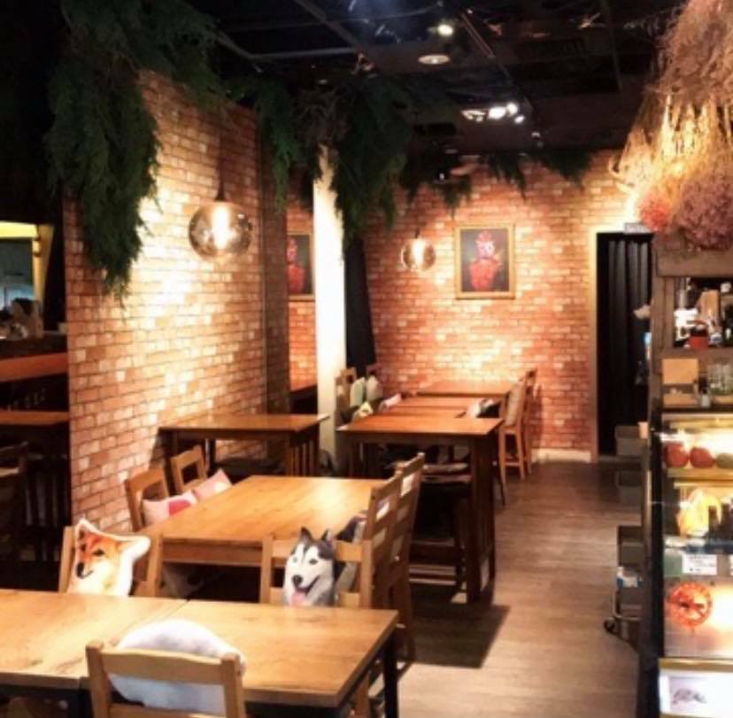 台北信義寵物友善餐廳-11 cafe