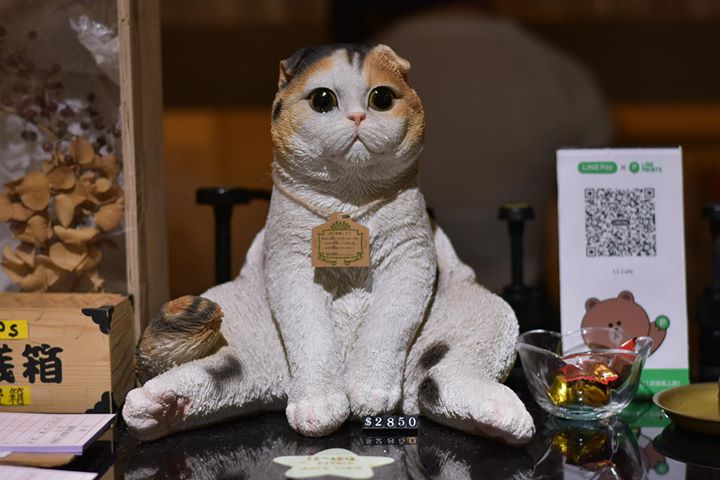 台北信義寵物友善餐廳-11 cafe